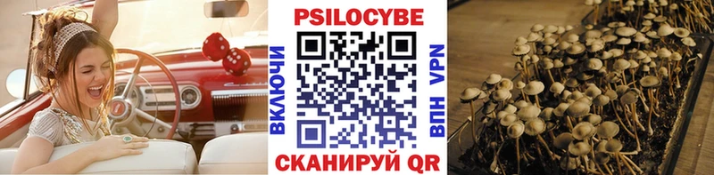 Галлюциногенные грибы ЛСД  наркошоп  Темников 